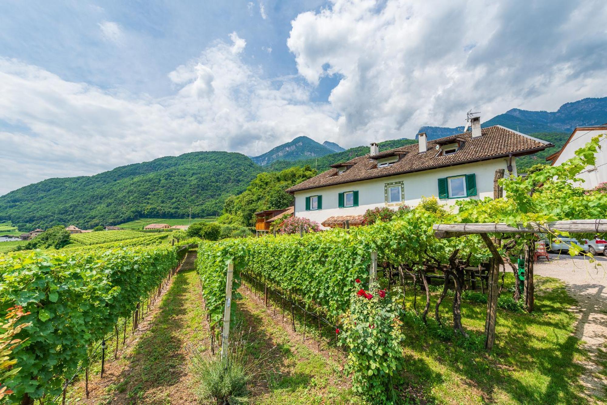 Weinhof Am See กัลดาโร ภายนอก รูปภาพ